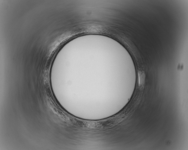 X0000108480579200904241302