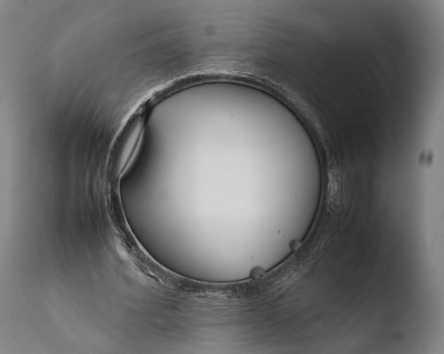 X0000108480580200904241302