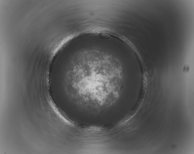 X0000108480581200904241302