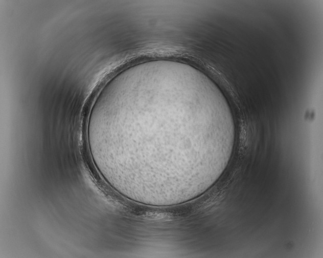 X0000108480582200904241302