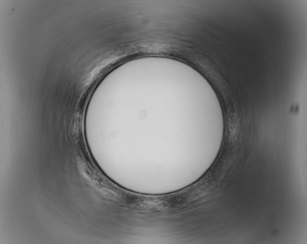 X0000108480583200904241302