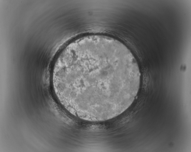 X0000108480584200904241302