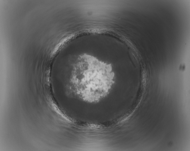 X0000108480585200904241302