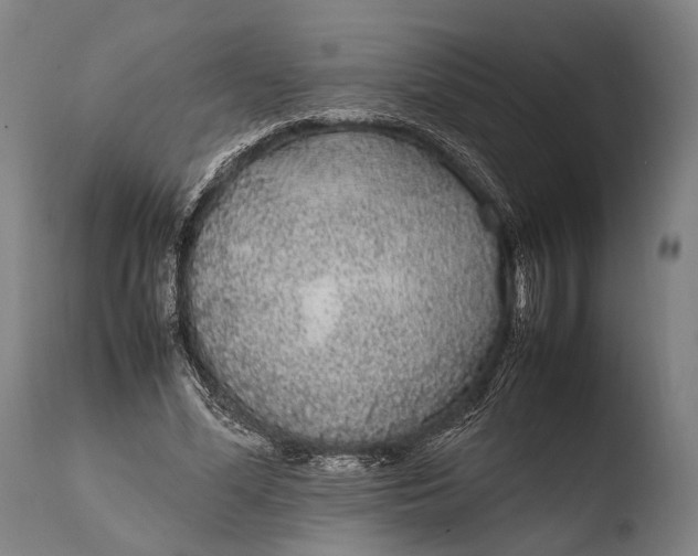 X0000108480588200904241302