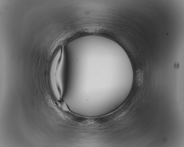 X0000108480589200904241302