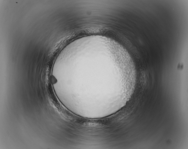 X0000108480590200904241302
