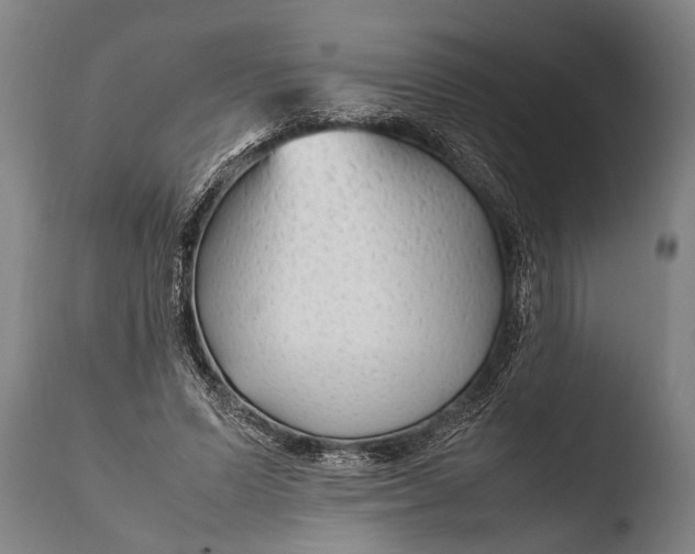 X0000108480591200904241302