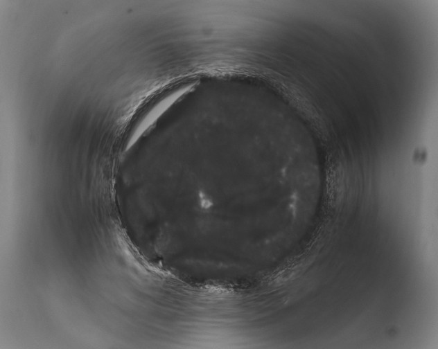 X0000108480592200904241302