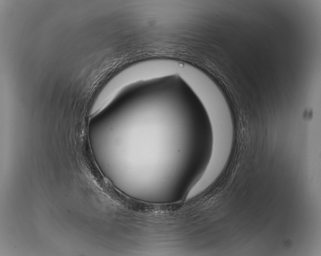 X0000108480593200904241302