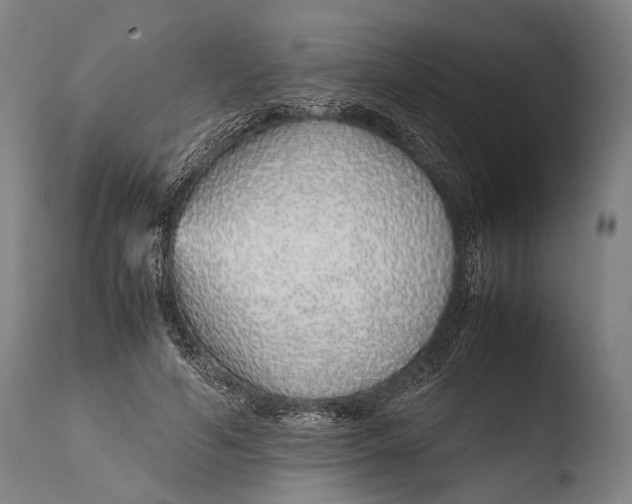 X0000108480594200904241302