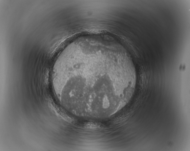 X0000108480596200904241302