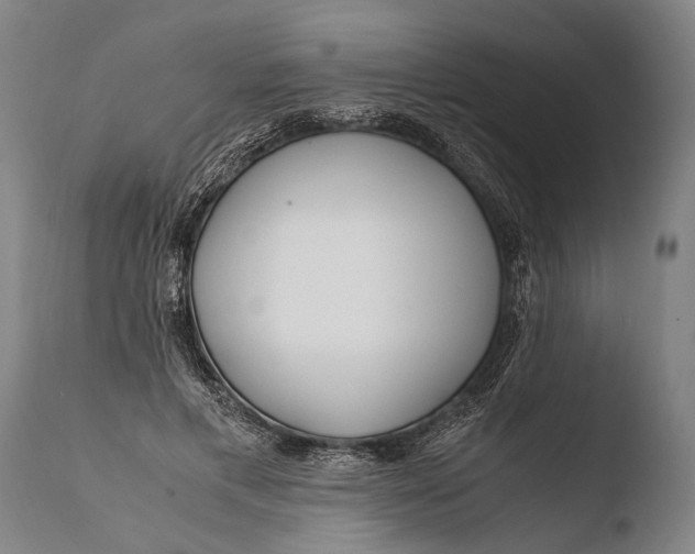 X0000108480597200904241302