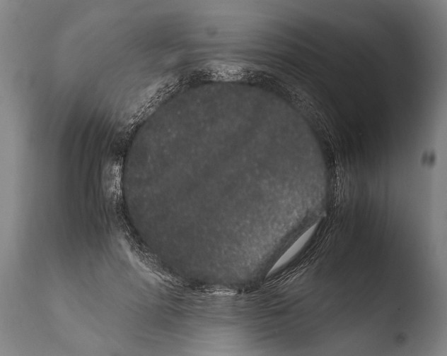 X0000108480598200904241302