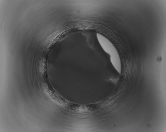 X0000108480600200904241302