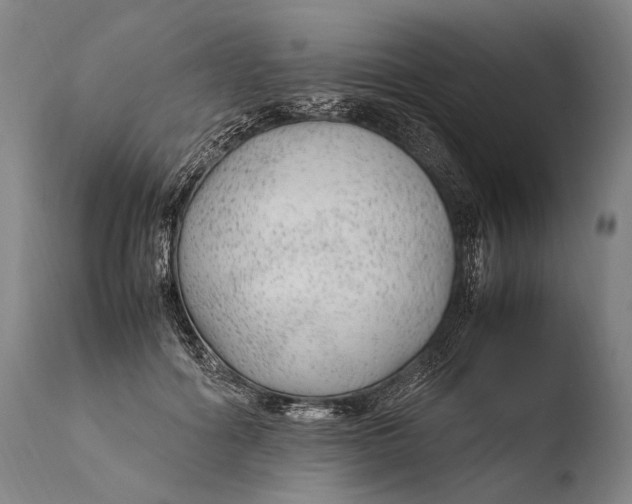 X0000108480602200904241302