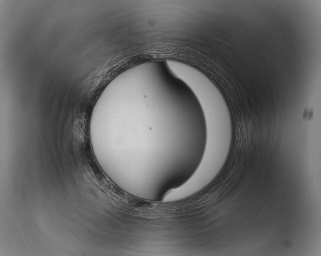 X0000108480604200904241302
