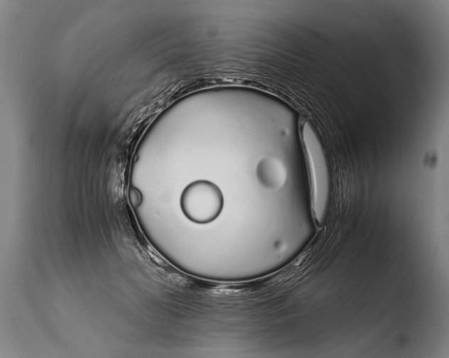 X0000108480606200904241302