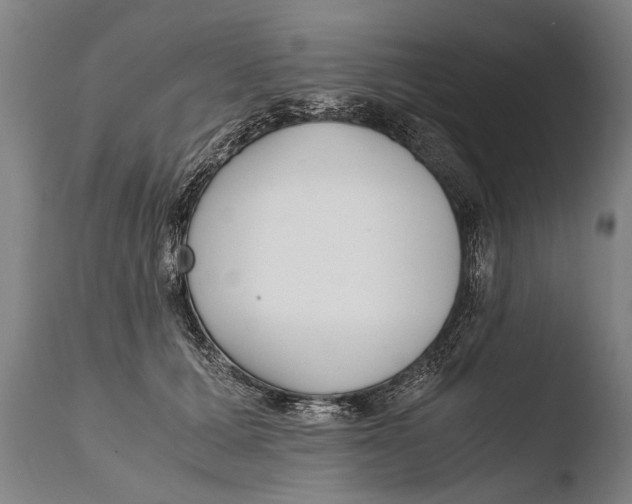 X0000108480607200904241302