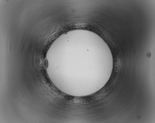 X0000108480608200904241302