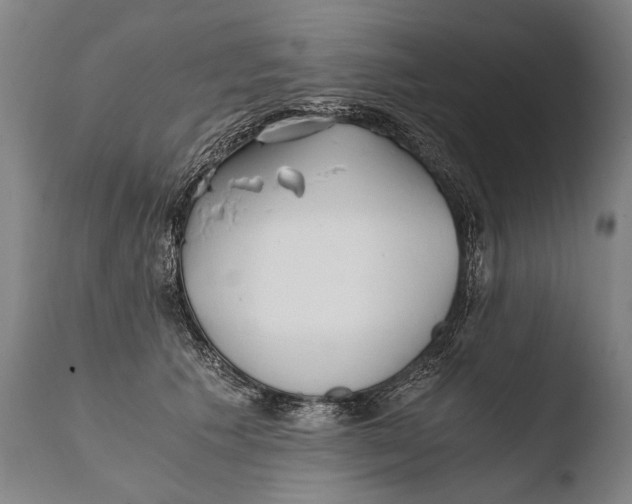 X0000108480609200904241302
