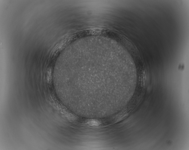X0000108480610200904241302