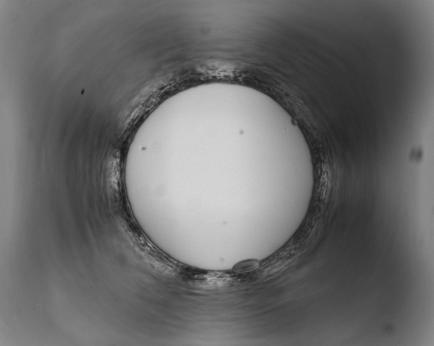 X0000108480612200904241302