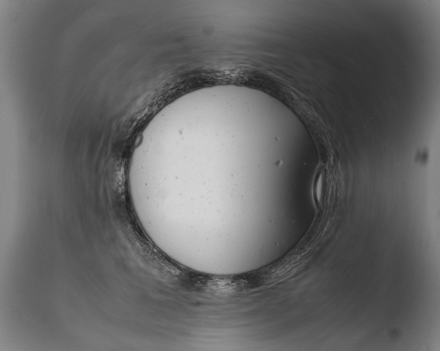 X0000108480613200904241302