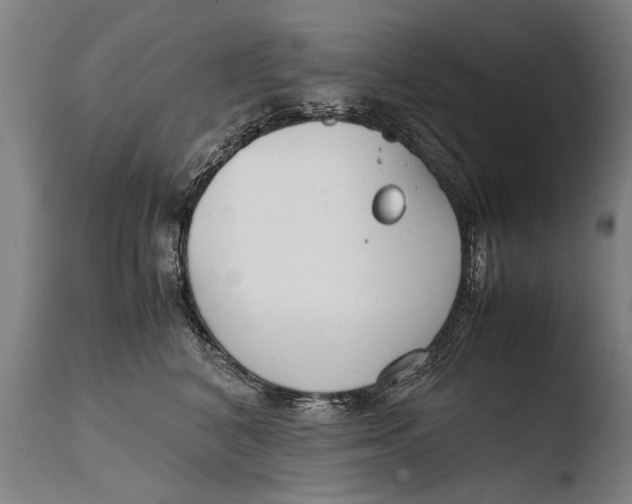 X0000108480616200904241302