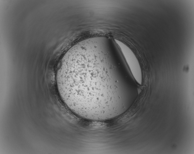 X0000108480617200904241302