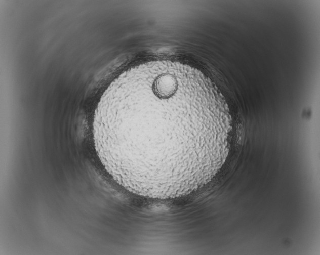 X0000108480618200904241302