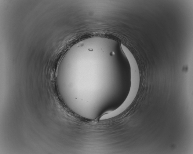 X0000108480619200904241302