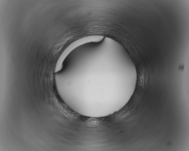 X0000108480620200904241302