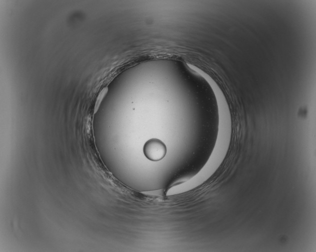 X0000108480621200904241302