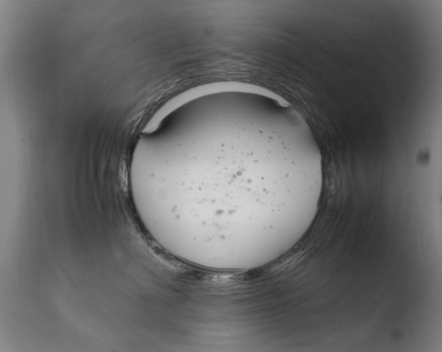 X0000108480622200904241302