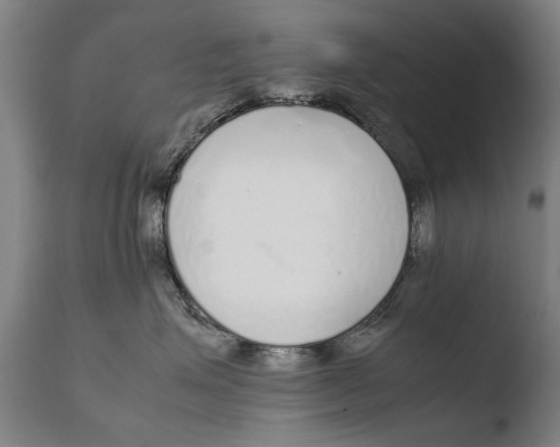 X0000108480623200904241302