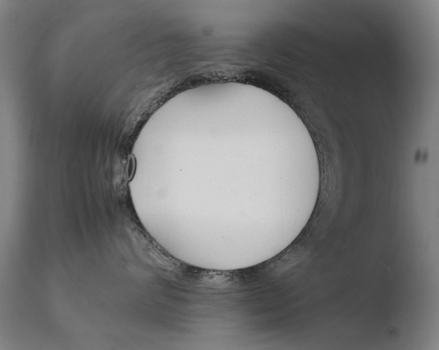 X0000108480624200904241302