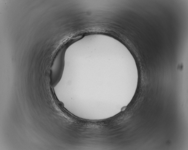 X0000108480625200904241301