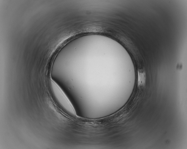 X0000108480627200904241301