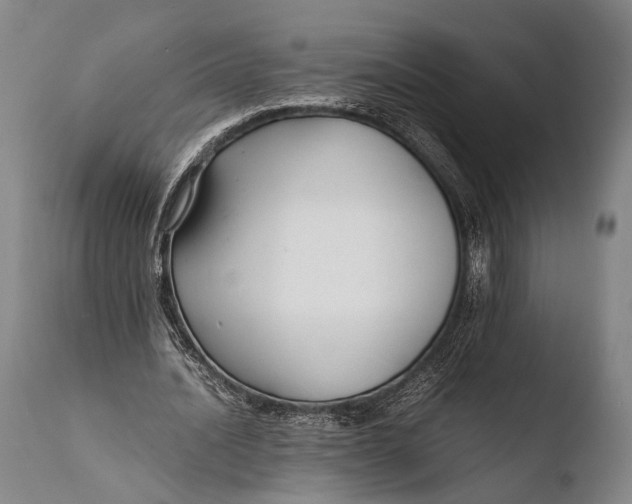 X0000108480628200904241301
