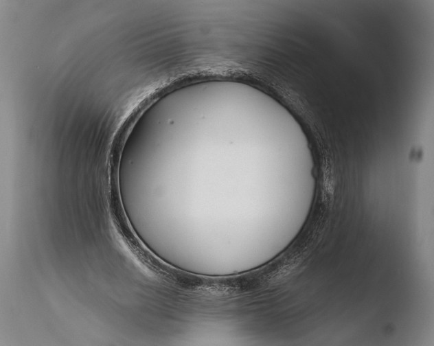 X0000108480630200904241301