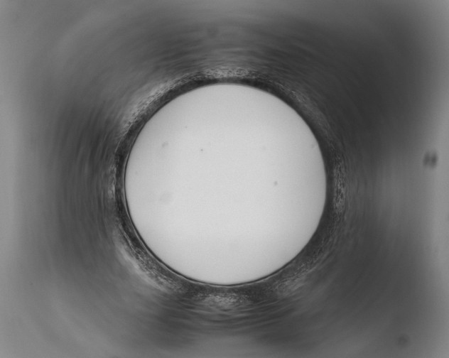 X0000108480631200904241301