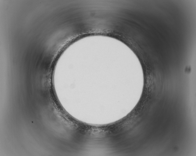 X0000108480632200904241301