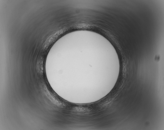 X0000108480633200904241301
