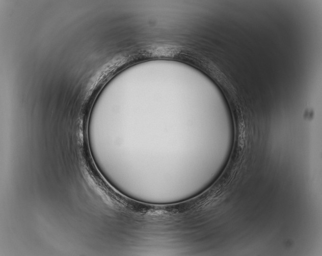 X0000108480634200904241301