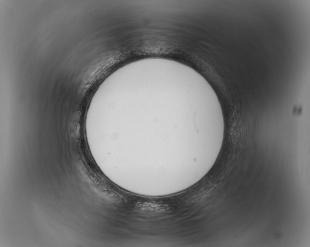 X0000108480635200904241301