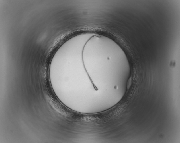 X0000108480636200904241301