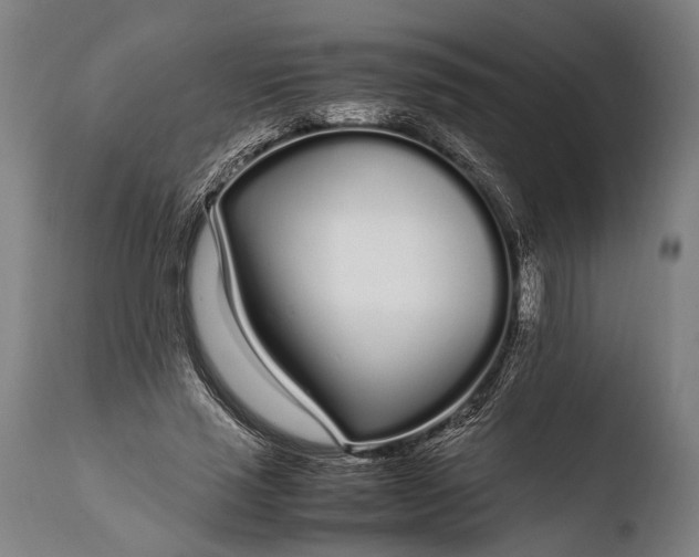 X0000108480637200904241301