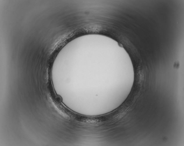 X0000108480638200904241301