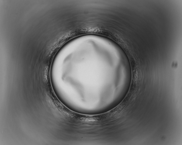 X0000108480643200904241301
