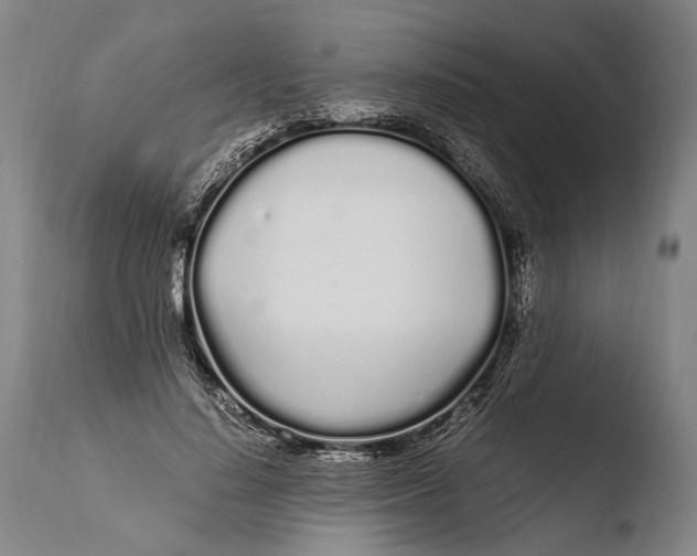 X0000108480644200904241301
